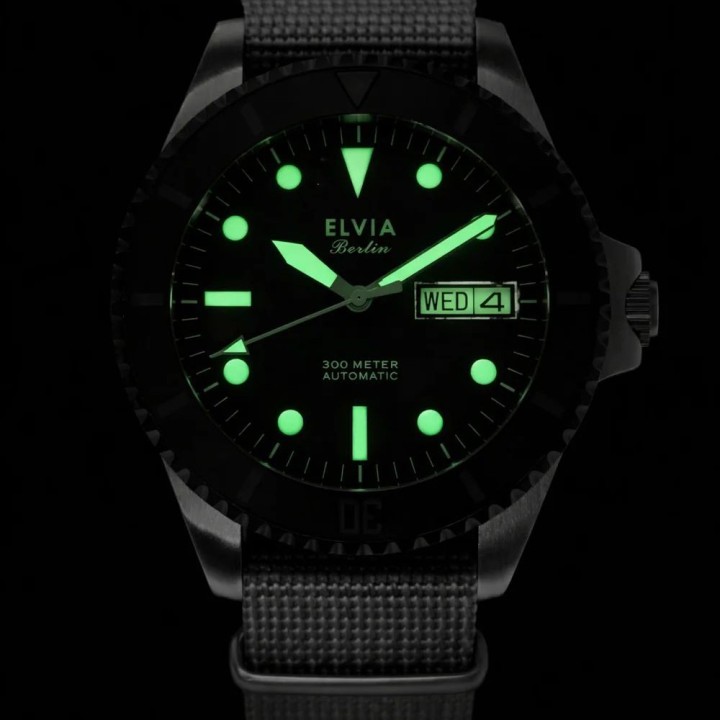 ELVIA NH36 Day Date Automatic