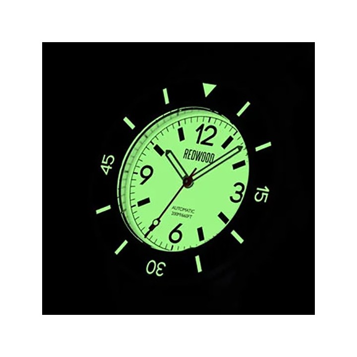 Tactical v3 - Polar Full-Lume Automatic