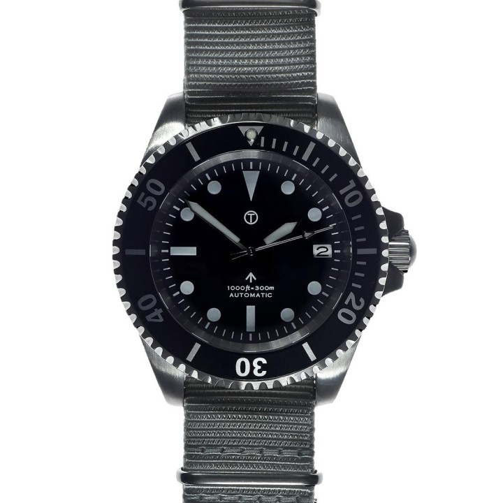 24 Jewel Gray Sterile 1982 Pattern 300m Automatic
